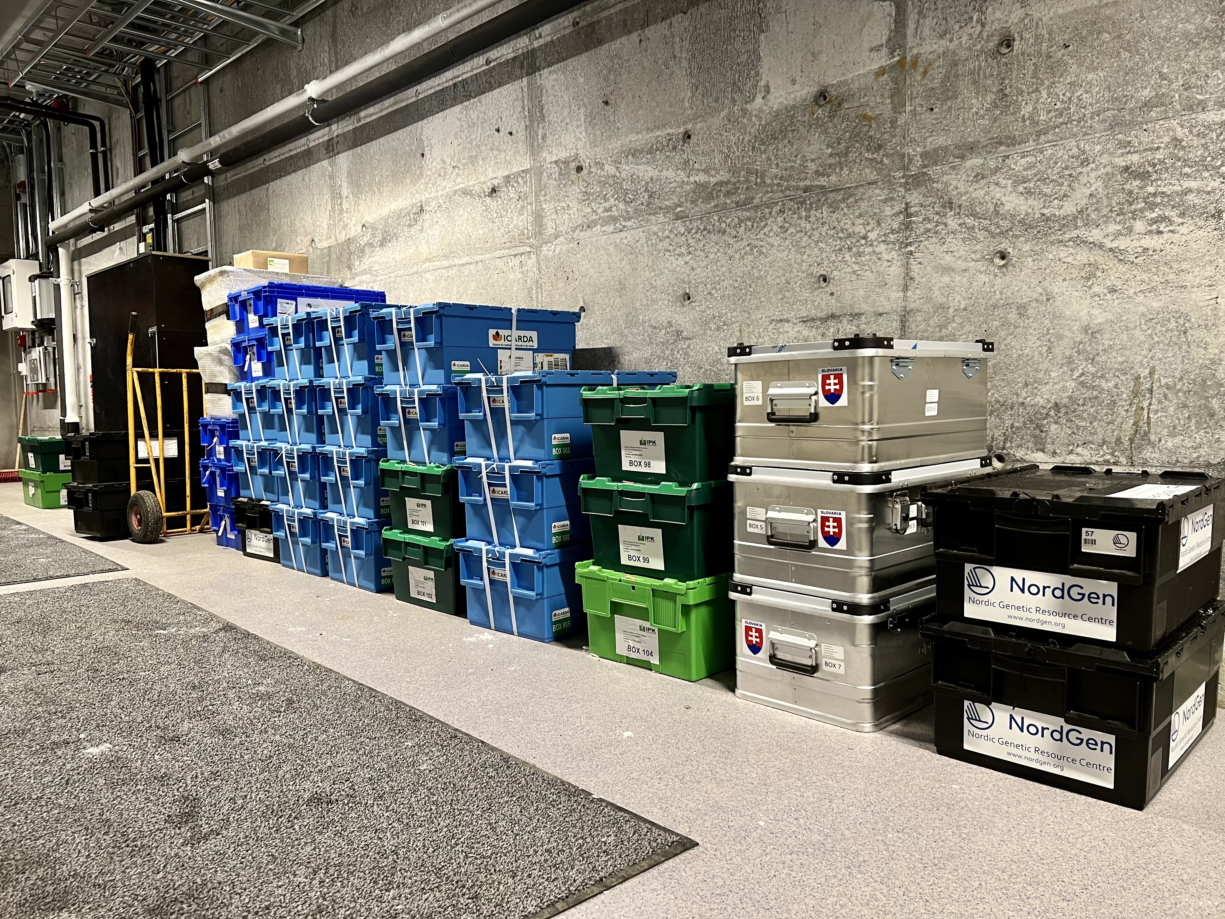 The Portal Room is where new boxes are initially placed.